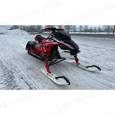 WhatsApp Image 2024 03 07 at 14.18.14 kuva