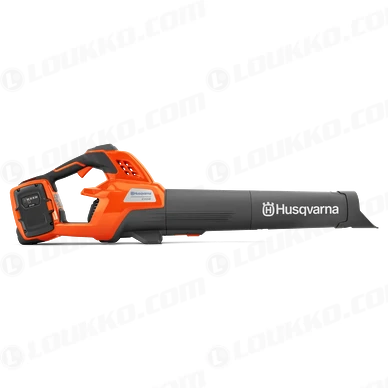 ar 808198 kuva
