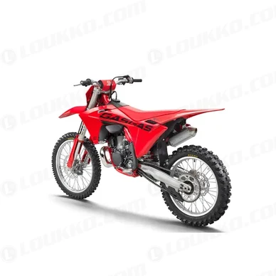 PHO BIKE PERS LIHI GASGAS 2025 MC 300 left rear SALL AEPI V1 kuva