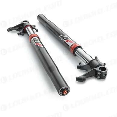 pho_nmon_0617c101u402220_apex_pro_7548_spring_fork__sall__awsg__v1 kuva