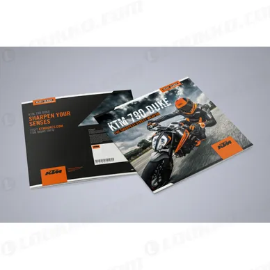 pho_ds_nmon_ktm_790_duke_folder__sall__awsg__v1 kuva