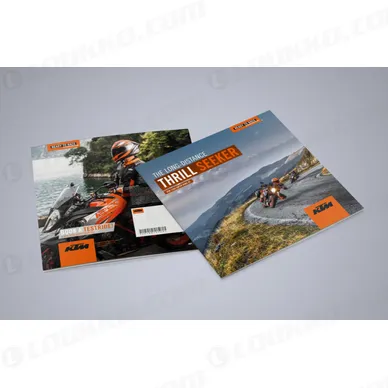 pho_ds_nmon_ktm_1290superduke_gt_2018__sall__awsg__v1 kuva