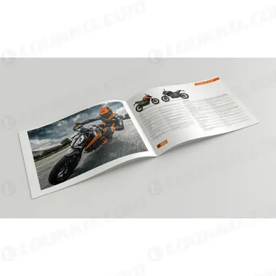 pho_ds_nmon_ktm_790_duke_dealer_sales_guide_2018__sall__awsg__v1 kuva
