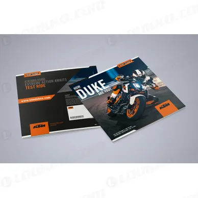 pho_ds_nmon_ktm_naked_range_folder_2018__sall__awsg__v1 kuva