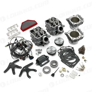 pho_pp_nmon_st930000000_superstock_engine_kit__sall__awsg__v1 kuva