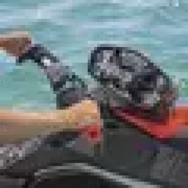 d377ff162c4c6bc6b9356737511c992c kuva