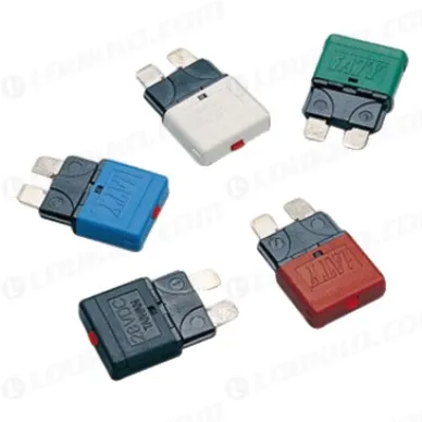 a4b21bfaa275a2ee90ec78e58699b6aa kuva