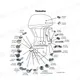Yamaha Chart 2021