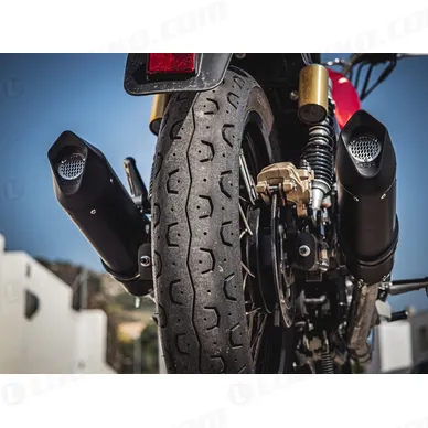 31G-E4-ROY-6-CAT-FNE4_spec4 kuva