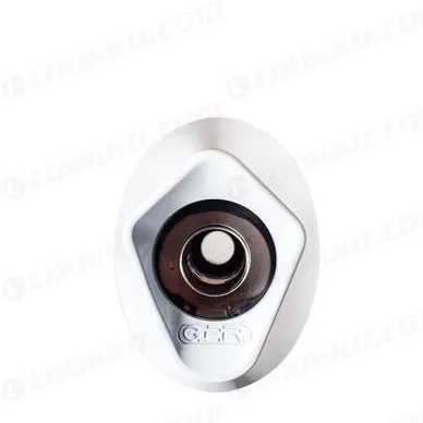 31G-BM-106-RACE-ALBE4_c kuva