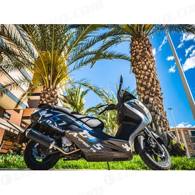 31G-SU-4-CAT-EVO4_spec1 kuva