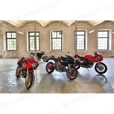 31G-CAFE-1-DBR_spec4 kuva