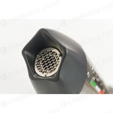 31G-BM-106-RACE-GPAN-PO_b kuva