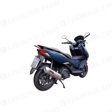 31G-Z-8-CAT-PE-IO_2 kuva