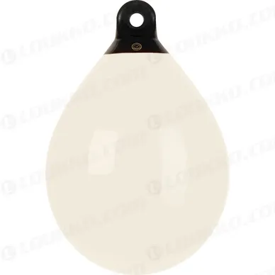B50_Buoy kuva