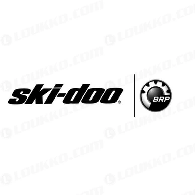 ski doo logo kuva