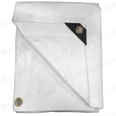 92a5ea57e366a9a2de64f71f1006d869 kuva