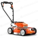 LT-259819