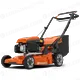 LO-396239