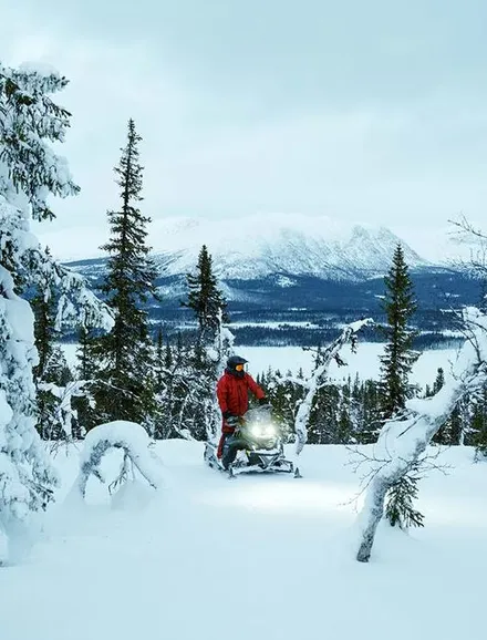 lynx crossover 2025 v3