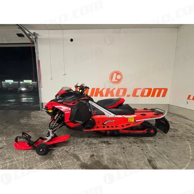 IMG 20241128 WA0352 kuva