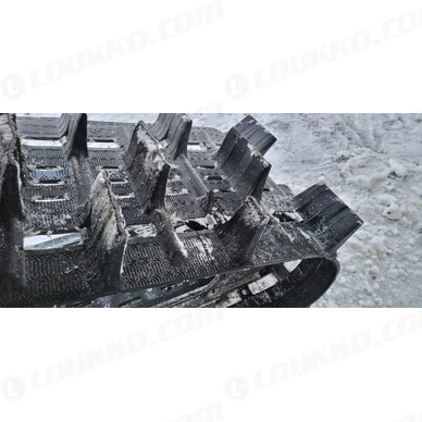 IMG 20250113 WA0011 kuva