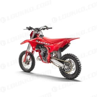 PHO BIKE PERS LIHI GASGAS 2025 MC 65 left rear SALL AEPI V1 kuva