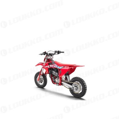 PHO BIKE PERS LIHI MC E 3 MY23 rear left SALL AEPI V1 kuva