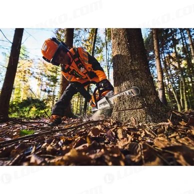 Stihl MSA 260 0 C O W akkumoottorisaha 6 kuva