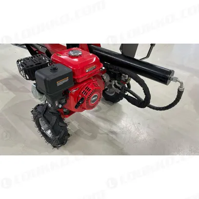 WhatsApp Image 2024 03 12 at 09.22.23 kuva