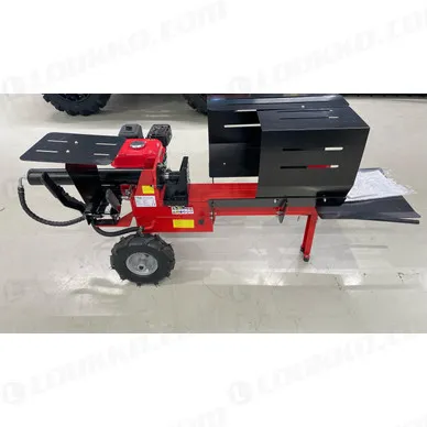 WhatsApp Image 2024 03 12 at 09.22.24 kuva