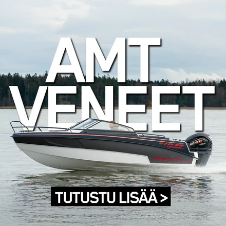 pieni v2