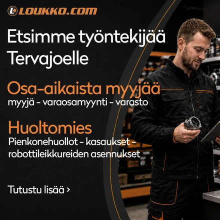 tyomies pieni