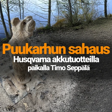 puukarhu pieni